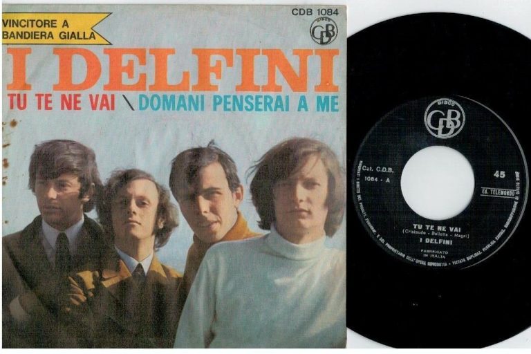 I Delfini