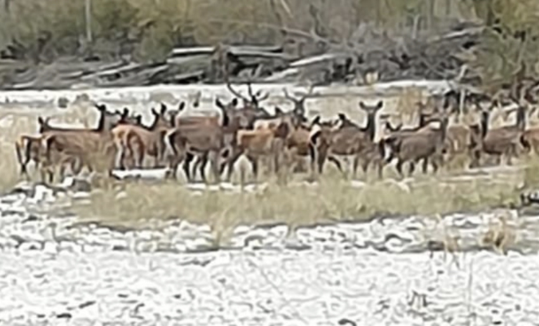 Schermata 2022-11-01 alle 17.23.24