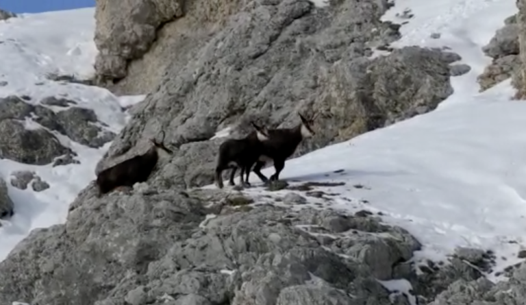 Schermata 2022-11-26 alle 14.54.09