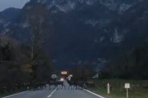 Senza nome