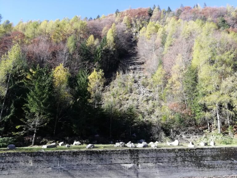 a5d8c9a5-98fc-43a6-ad7c-71f735ff5ca9