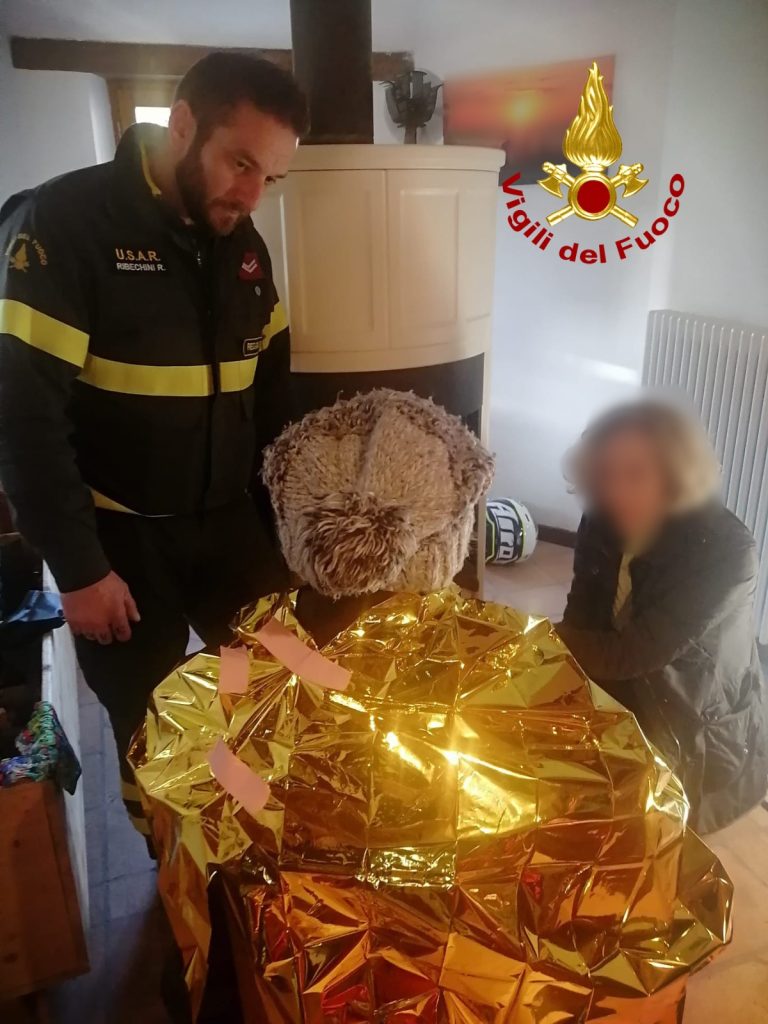 c5cf4f25-2a53-4d59-88a2-71abcf20b2aa