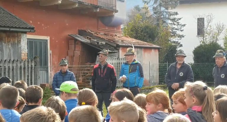 cab71b53-8c01-44c8-9862-4d94b444ffd1