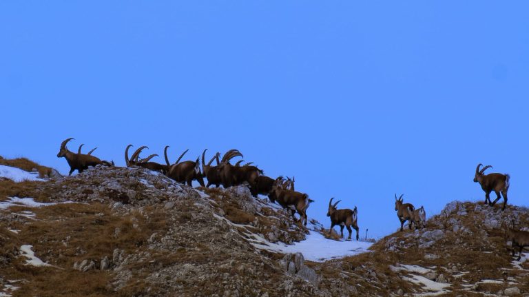 fb07e8f0-c831-4d90-8514-f19aeb8c76d0