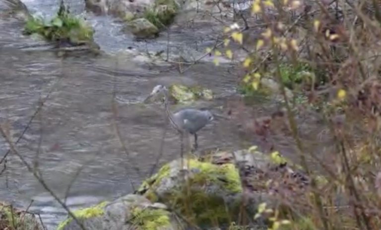 040cde7c-dc23-41e2-92d2-36bd9c582d9b