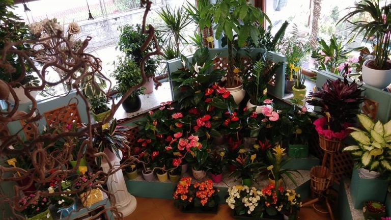 301582670_579205740661572_5292908379791919159_n