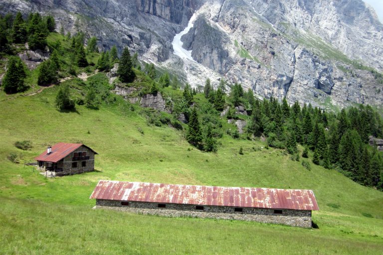 MALGA LOSCH