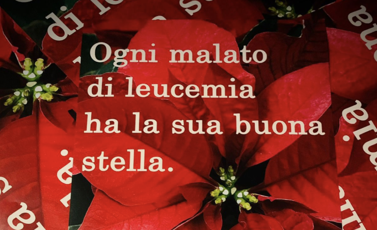 Schermata 2022-12-03 alle 17.37.44