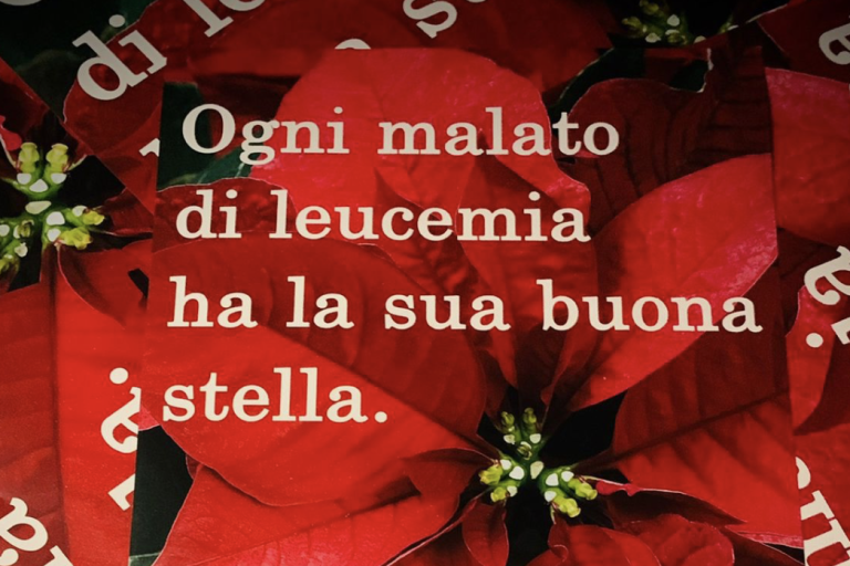 Schermata 2022-12-03 alle 17.37.44