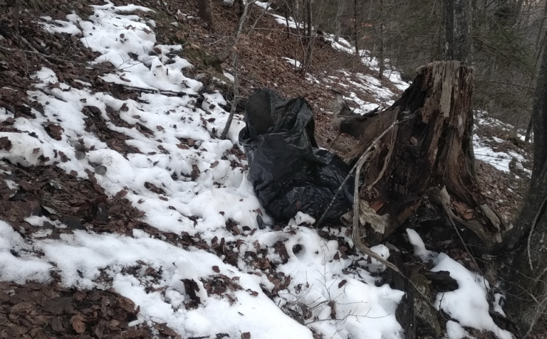 Schermata 2022-12-28 alle 12.15.57