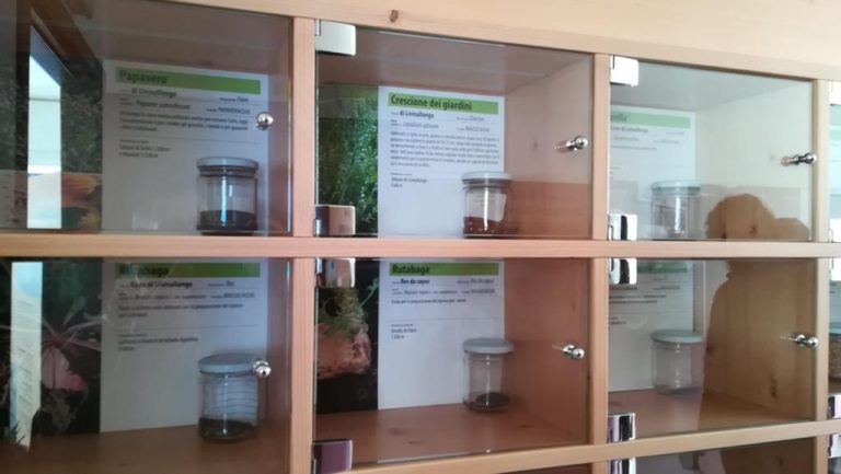 c0bf0125-b9c3-4d59-bfd9-bc6c56749478