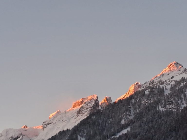 ed8c84ac-9830-4f57-9a1f-b7cfb5b1803f