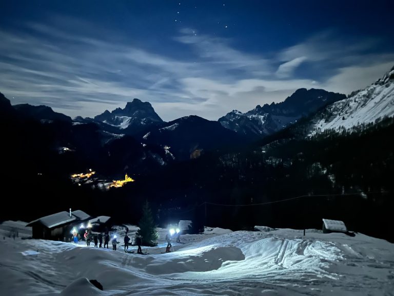 25070cf7-6769-4f60-81a8-5085ad7763e8