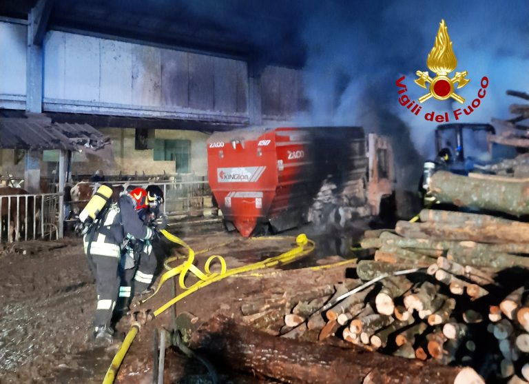 29a497c2-4d9d-4296-8994-9efe3773a8c3