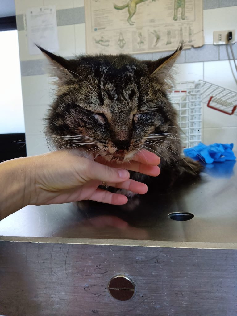 326480649_601038071847772_5810778389714693772_n