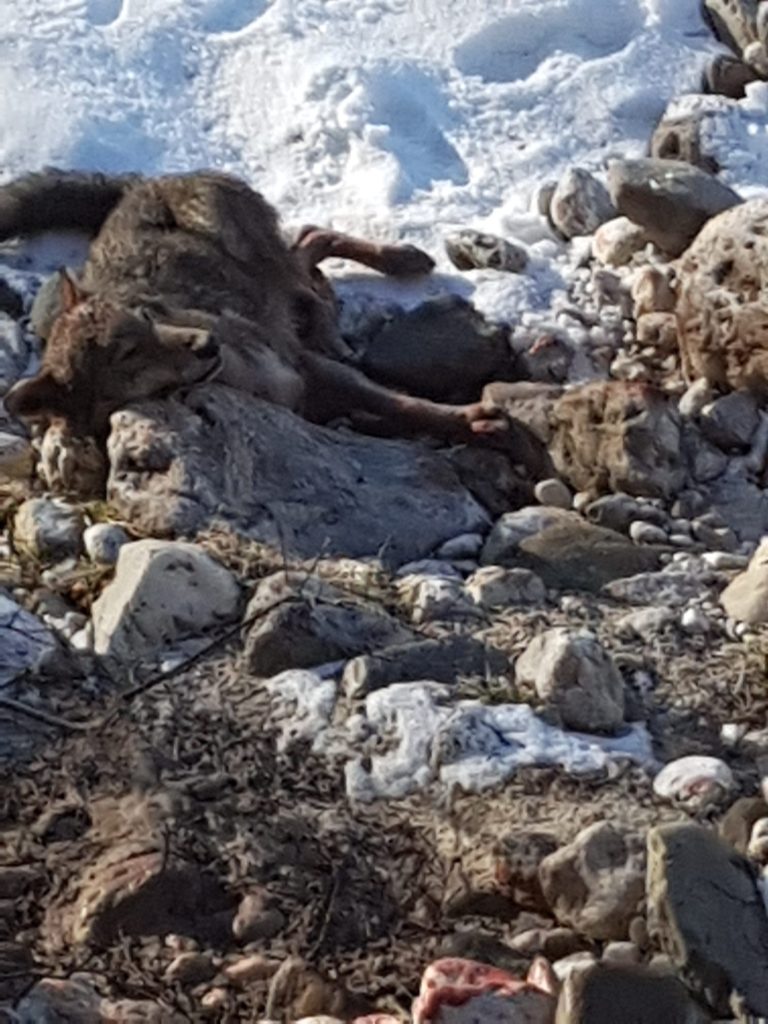 45ec55a6-3137-43d0-a28d-a7c931026ca4