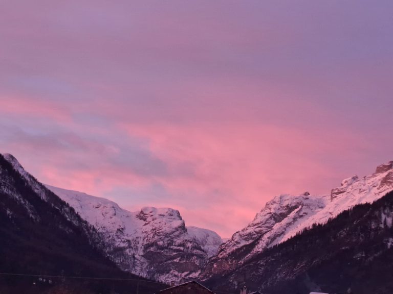 804c86ad-984d-4874-a17f-10ee87bc4e5f