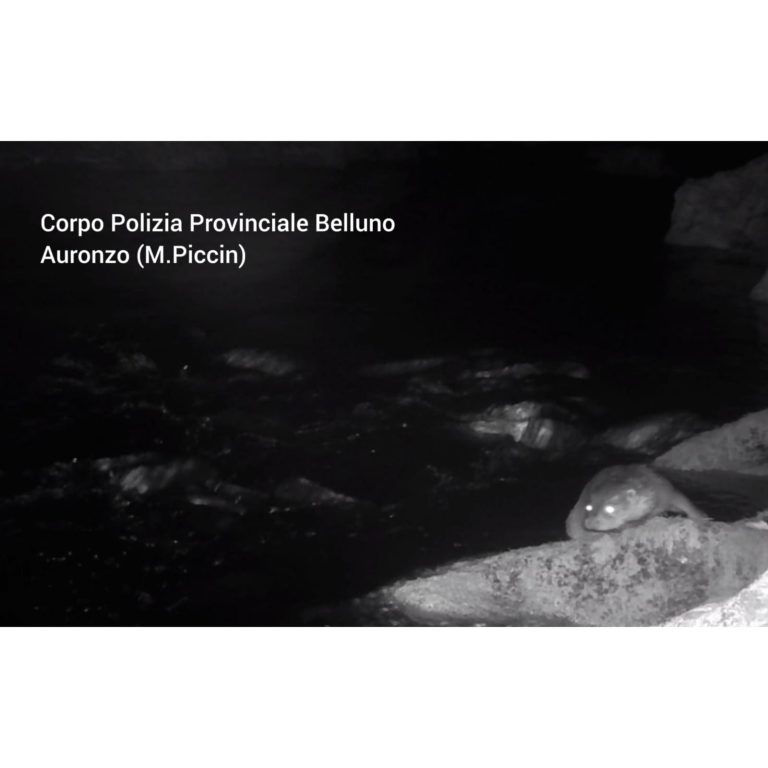 PHOTO-2023-01-15-17-36-13