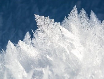 Vademecum neve mod 2 (1)