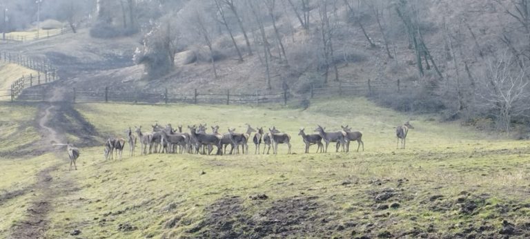 b3db8b09-ab49-497c-bcb5-ca82db2dc824