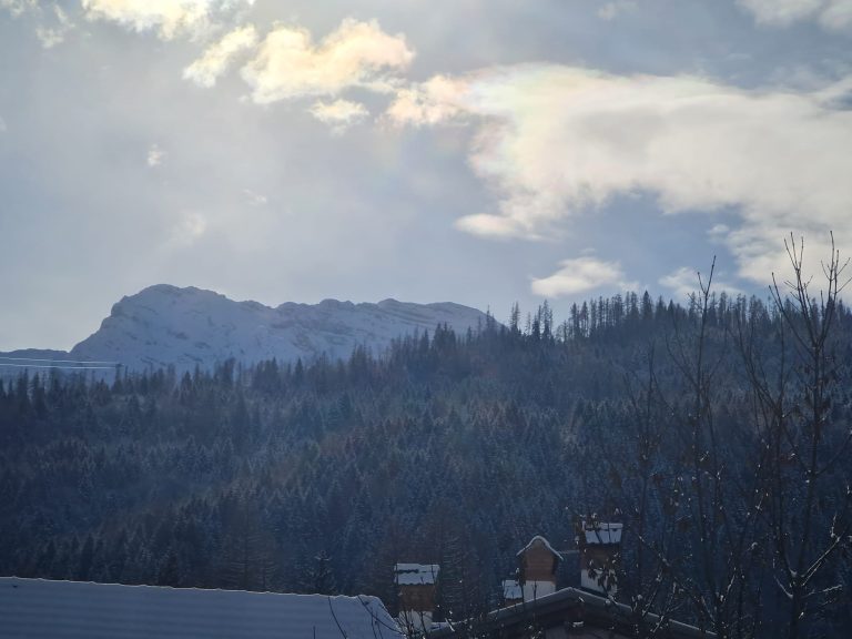 ff2b46ae-4223-4b47-93d5-e4268dc3065d