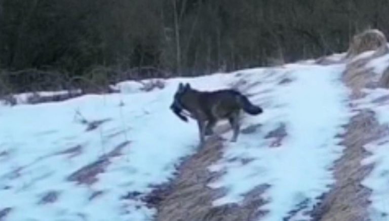 26cef2f0-a8ab-451c-a3d3-a99f6f7d202f