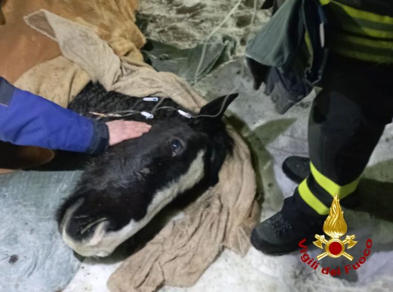 383fc5c1-4907-48a4-9678-d8e4225e2fe2