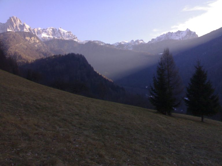 432c2d83-5a87-47f7-8dce-089ccd91a000