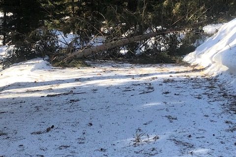 IMG_0941