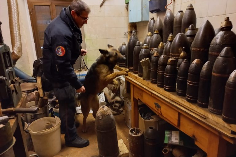 Il materiale rinvenuto e posto sotto sequestro dai Carabinieri_27.02.2023