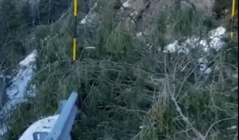 Schermata 2023-02-04 alle 10.40.23