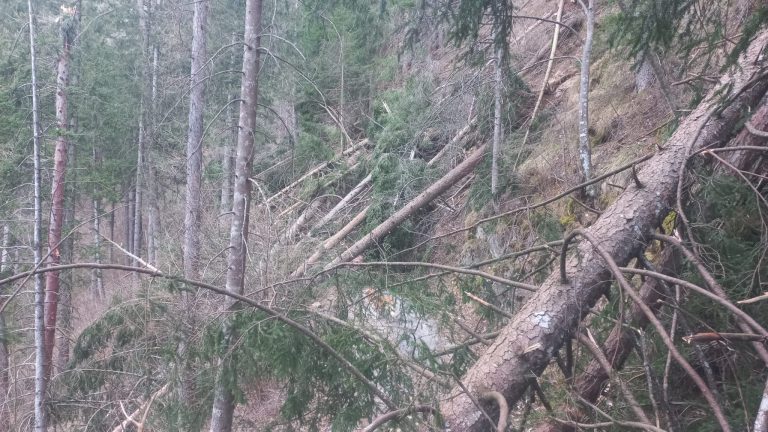 a26f038e-3e41-4cd7-ae92-162f187703c3