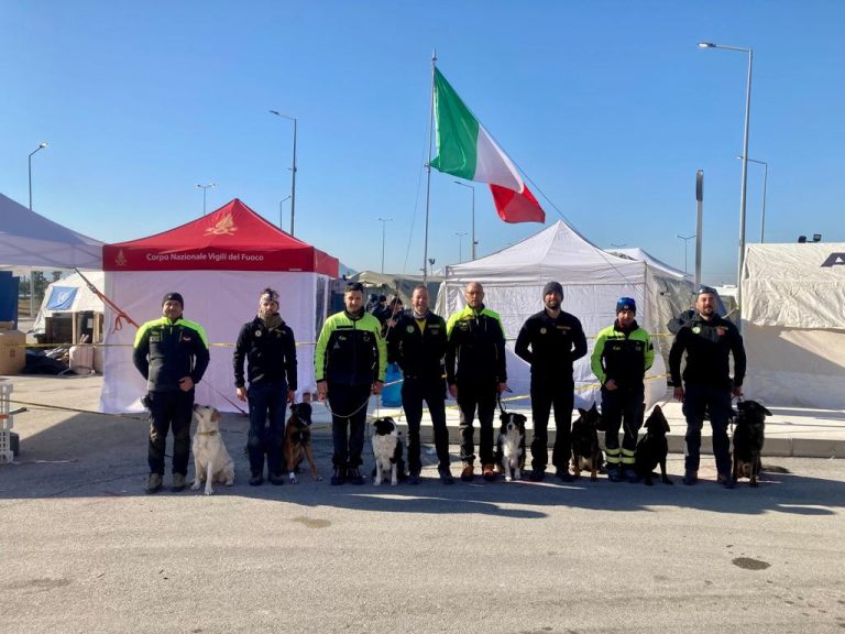 c874436f-4016-4c03-bd57-9b589c6a692b