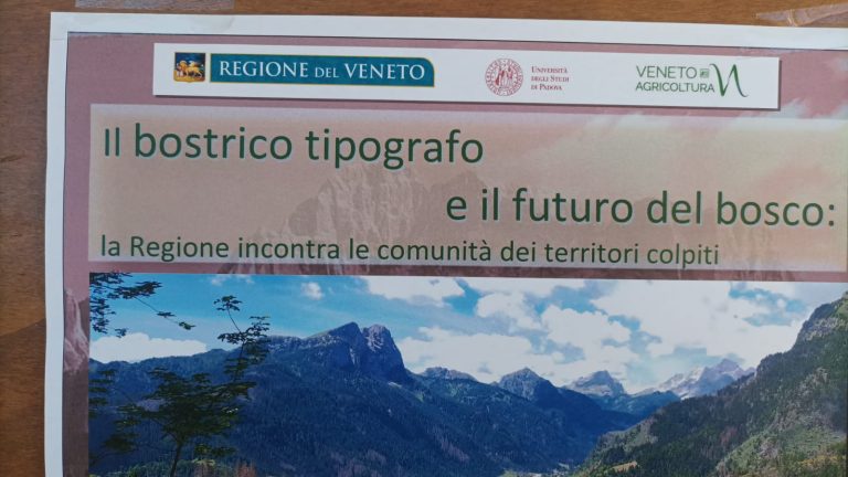 173D05F0-DE0F-4FF1-87A5-9E6A93A4D953