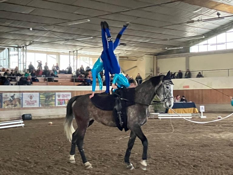 19054d10-8ed9-4fd4-9297-0253f1240725