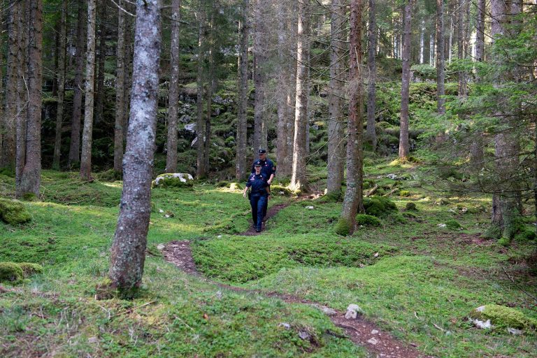 FORESTALE