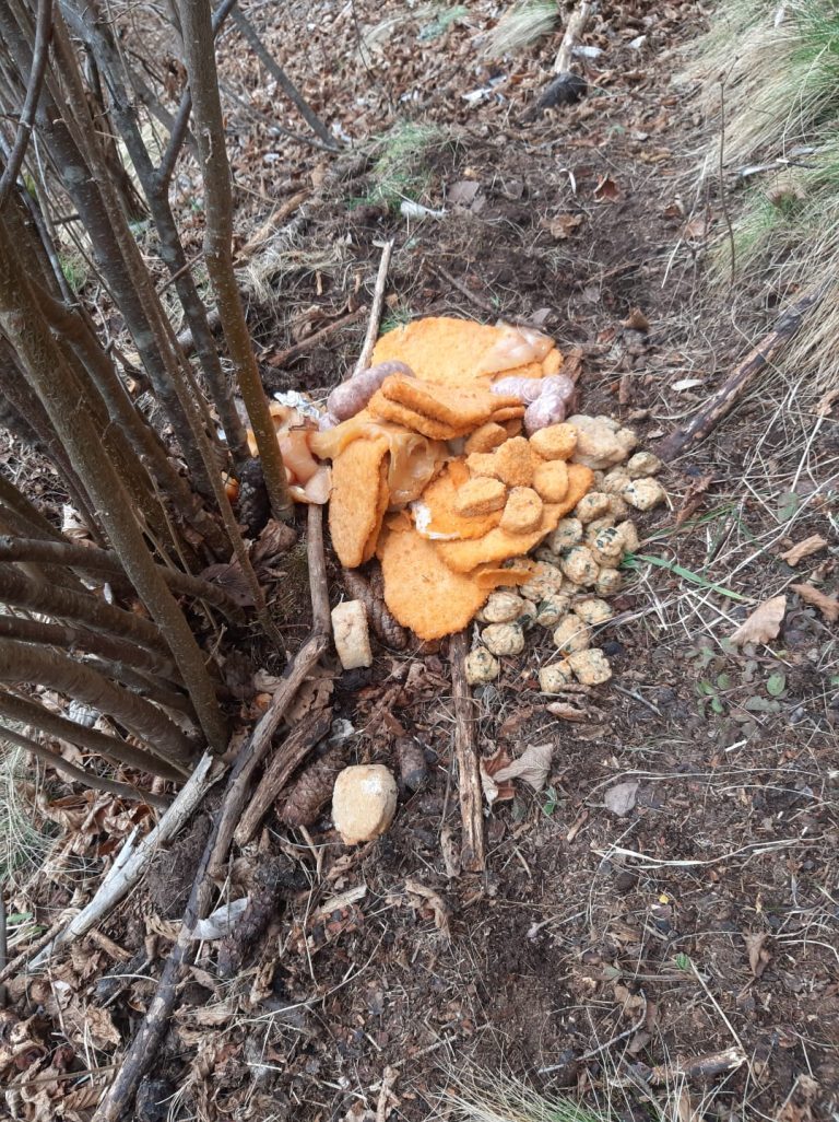 936c90ef-25e3-4c22-ad37-b7793a015116