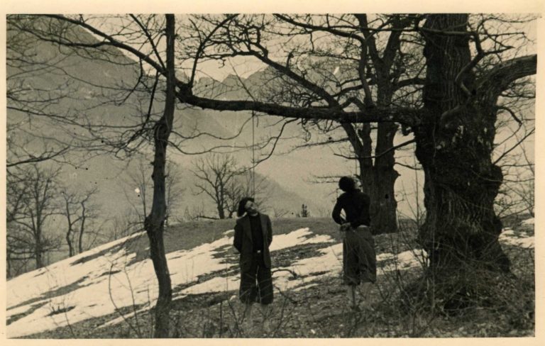 96484d3d-85cf-4647-813a-5e2f4d5f610e