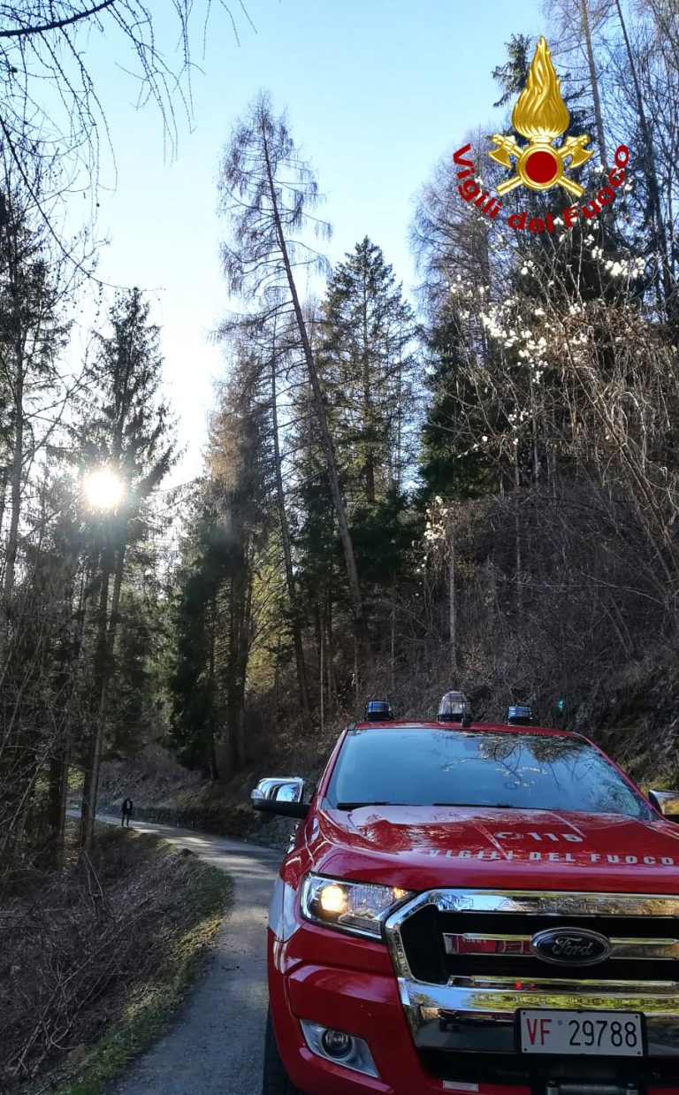 e70a0227-cda2-463d-a461-661cf2214109