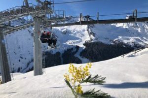 ea5bfe77-1a9e-496b-8c07-8d1164a69597-300×225-1