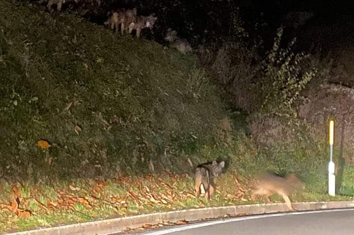 ef0d2423-7ddc-4410-b532-6b23a09acc33