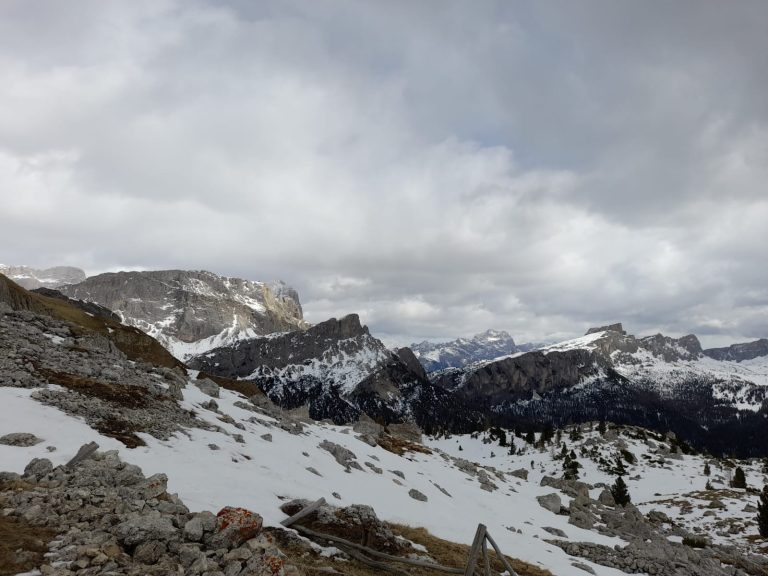 fdc71a9f-405a-4dfa-85fd-4c5e5ba0ca3b