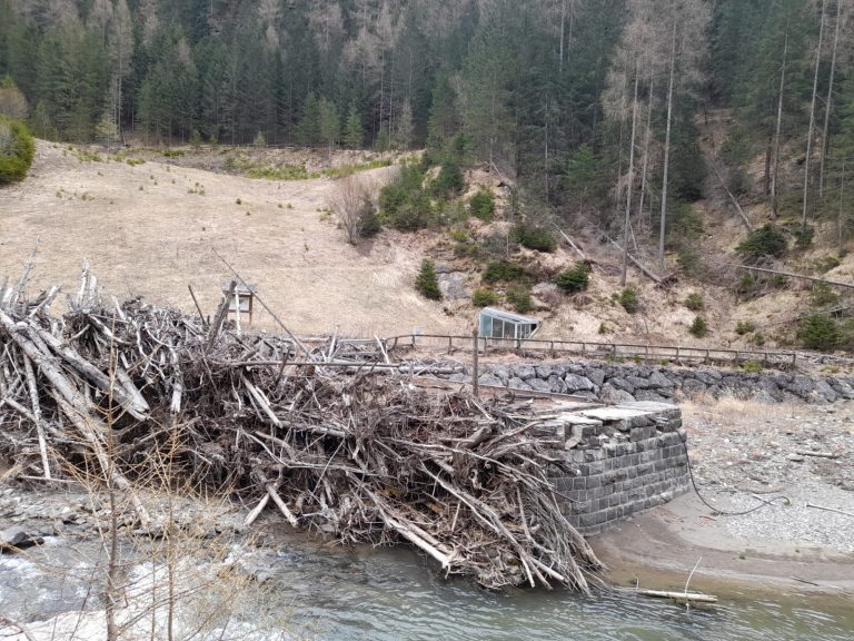 19931b05-4be6-448f-9f46-e782ef7f180c