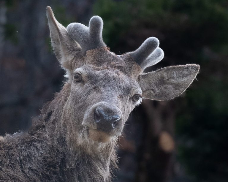 35c56457-9508-4cde-9559-114e996fd9f9