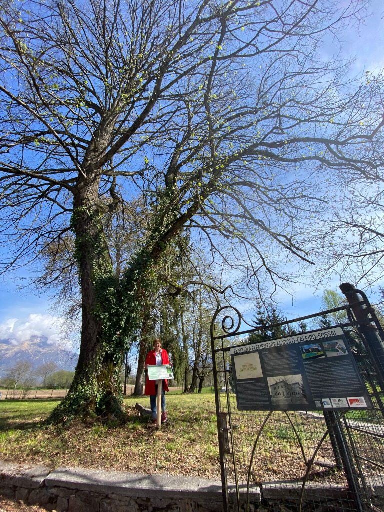 Assessore De Kunovich