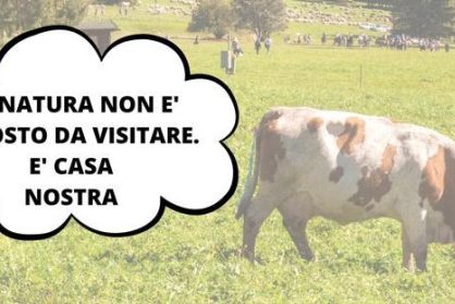 Senza nome