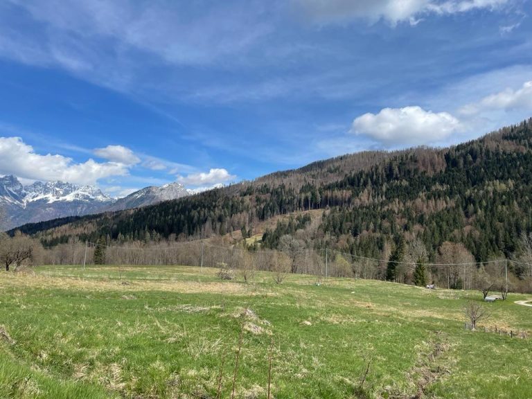 a5b414c4-d118-4505-b0d8-5eec70f963a3