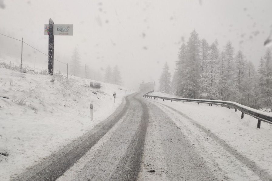 af0f1248-6d14-4e2c-9f15-dbd47cbf7957