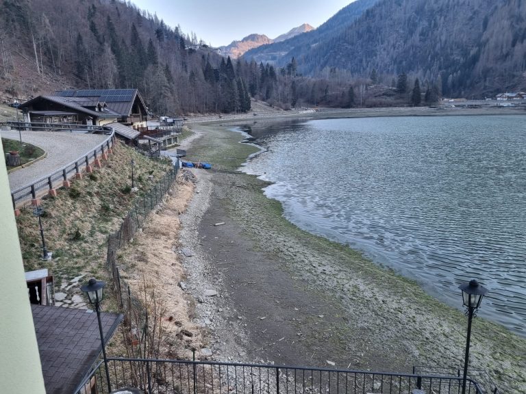 ba984e31-b9f1-461c-bcd1-9dbdf4fa94a7