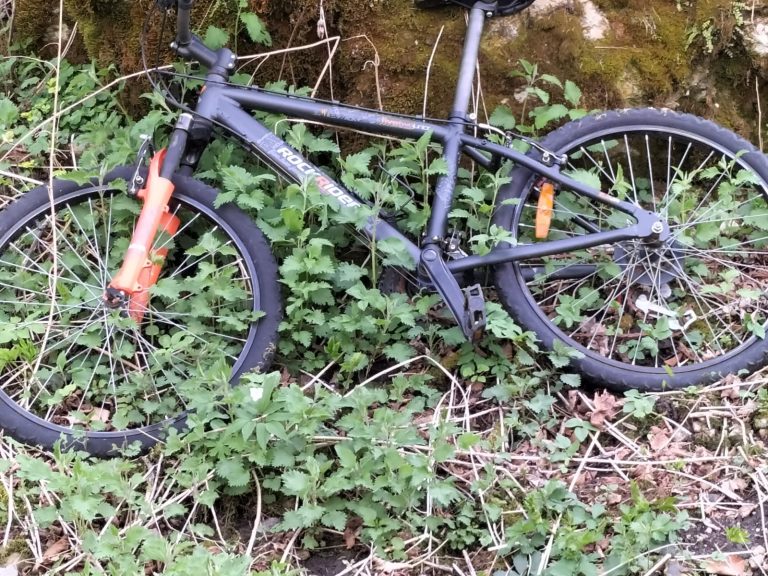 c174a403-a0ec-4b5b-ac03-1e30f0a5b1ee